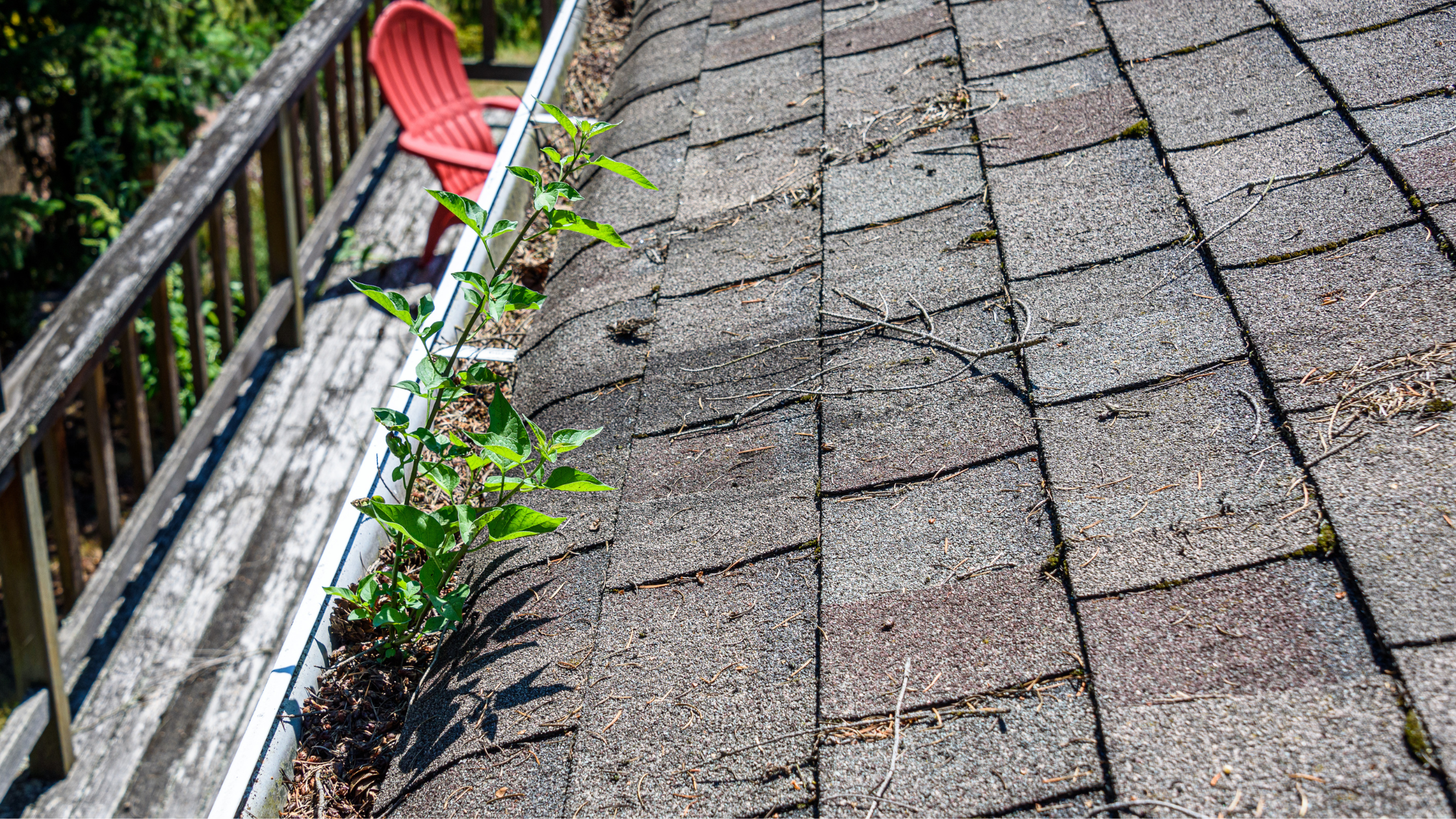 roof maintenance